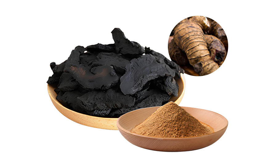 Polygonatum Extract